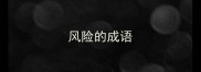 风险的成语