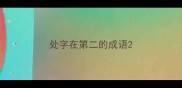 处字在第二的成语