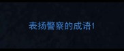 表扬警察的成语