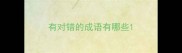 有对错的成语有哪些