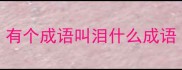 有个成语叫泪什么成语
