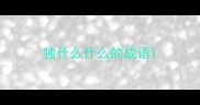 独什么什么的成语