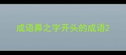 成语鼻之字开头的成语