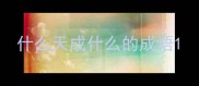 什么天成什么的成语