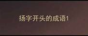 扬字开头的成语