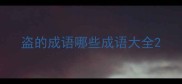 盗的成语哪些成语大全