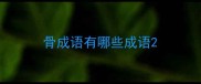 骨成语有哪些成语