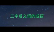 三字反义词的成语