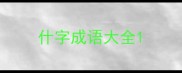 什字成语大全