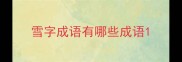 雪字成语有哪些成语