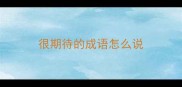 很期待的成语怎么说