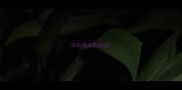 学到很多的成语