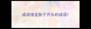 成语接龙胎子开头的成语