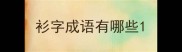 衫字成语有哪些