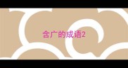 含广的成语