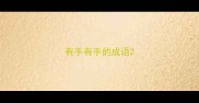 有手有手的成语