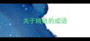 关于精致的成语