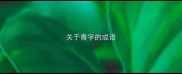 关于青字的成语