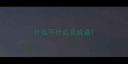 什么不什么及成语