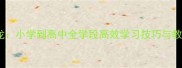 成语接龙小学到高中全学段高效学习技巧与教学案例