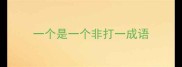 一个是一个非打一成语