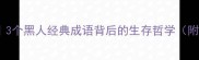 非洲智慧传承3个黑人经典成语背后的生存哲学附职场应用指南