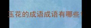 玉花的成语成语有哪些