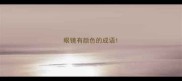 眼镜有颜色的成语