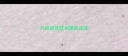 月组成成语有哪些成语