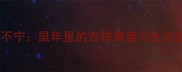 鸡犬不宁鼠年里的吉祥寓意与生活启示