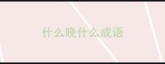 什么晚什么成语