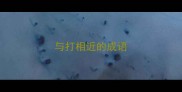 与打相近的成语