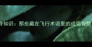 飞行员职业冷知识那些藏在飞行术语里的成语智慧高空成语图鉴