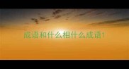 成语和什么相什么成语