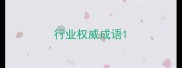 行业权威成语