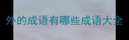 外的成语有哪些成语大全