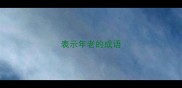 表示年老的成语