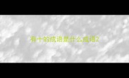 有十的成语是什么成语