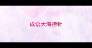 成语大海捞针