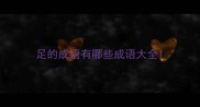 足的成语有哪些成语大全