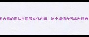 鹅毛大雪的用法与深层文化内涵这个成语为何成为经典