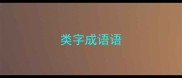 类字成语语