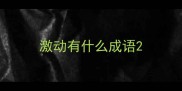激动有什么成语