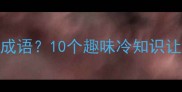 什么面对应什么成语10个趣味冷知识让你秒变文化达人