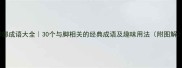 脚部成语大全30个与脚相关的经典成语及趣味用法附图解