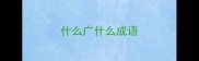 什么广什么成语