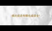横的成语有哪些成语全