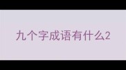 九个字成语有什么