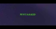 两字打头的成语