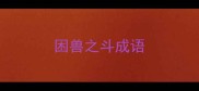 困兽之斗成语